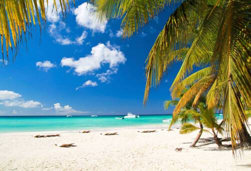 Grand Bahama Island