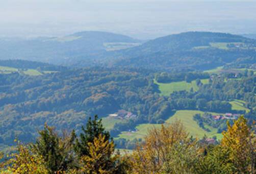 The view of Deggendorf from the Bavarian Forest