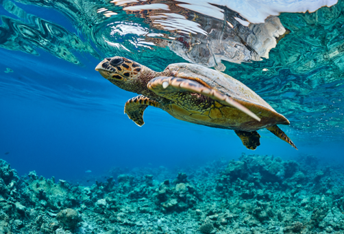 Toau, French Polynesia