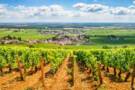 Burgundy, France