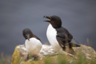 King William Island, Canada