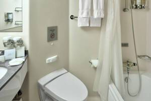 Ocean View Stateroom Bathroom, Nieuw Amsterdam