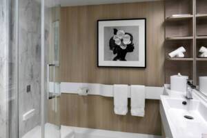 Deluxe Ocean with Porthole bathroom, Celebrity Apex