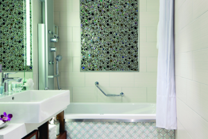 Penthouse Bathroom, Pride of America