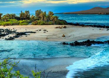 Galapagos Islands, Ecuador