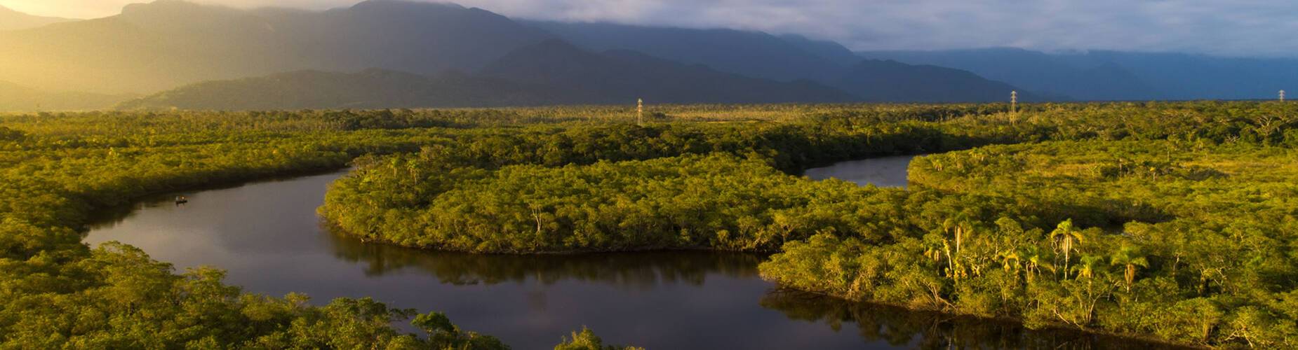 An aerial view over the Amazon River