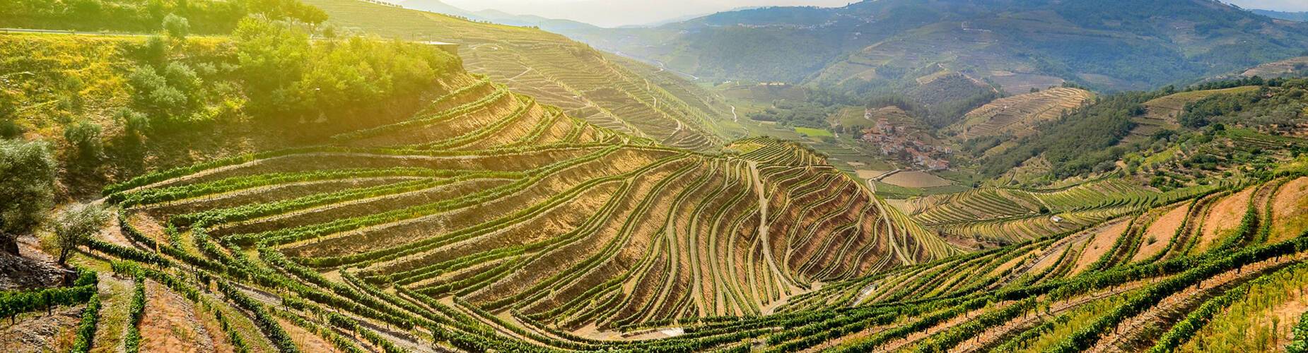 The Douro Valley in Peso da Régua