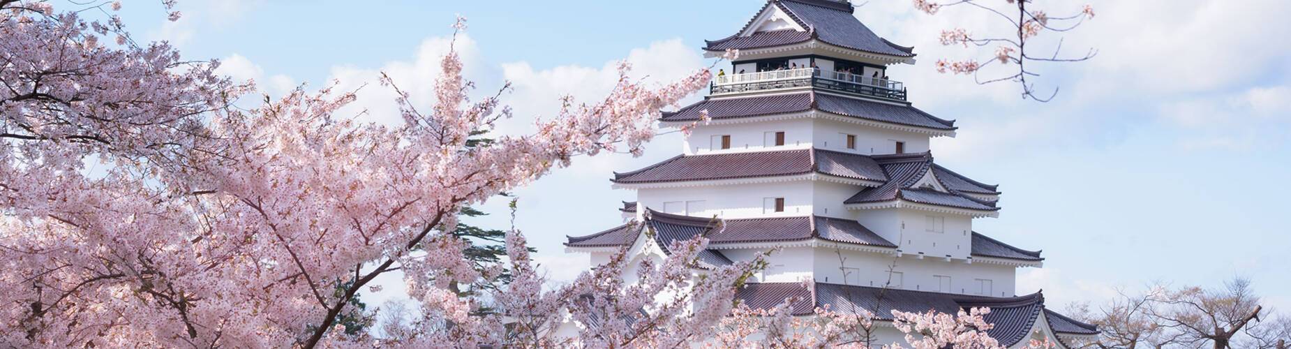 Tsuruga Castle