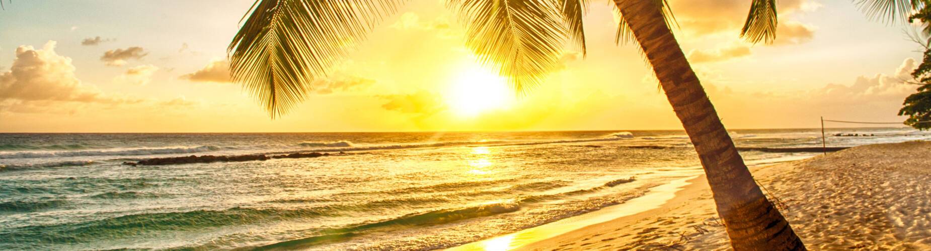 Caribbean