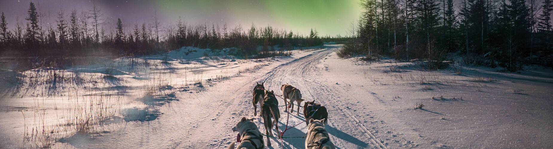 Northern Lights