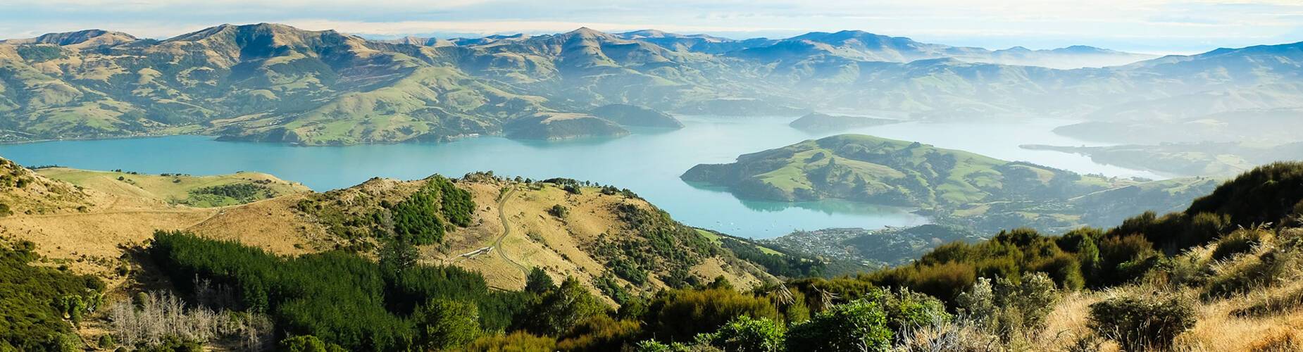 Christchurch Cruises