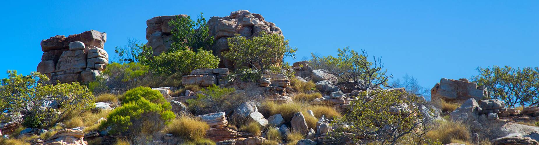 The coastline of Bigge Island
