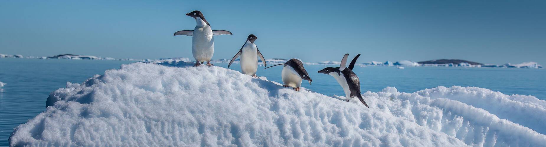Antarctica