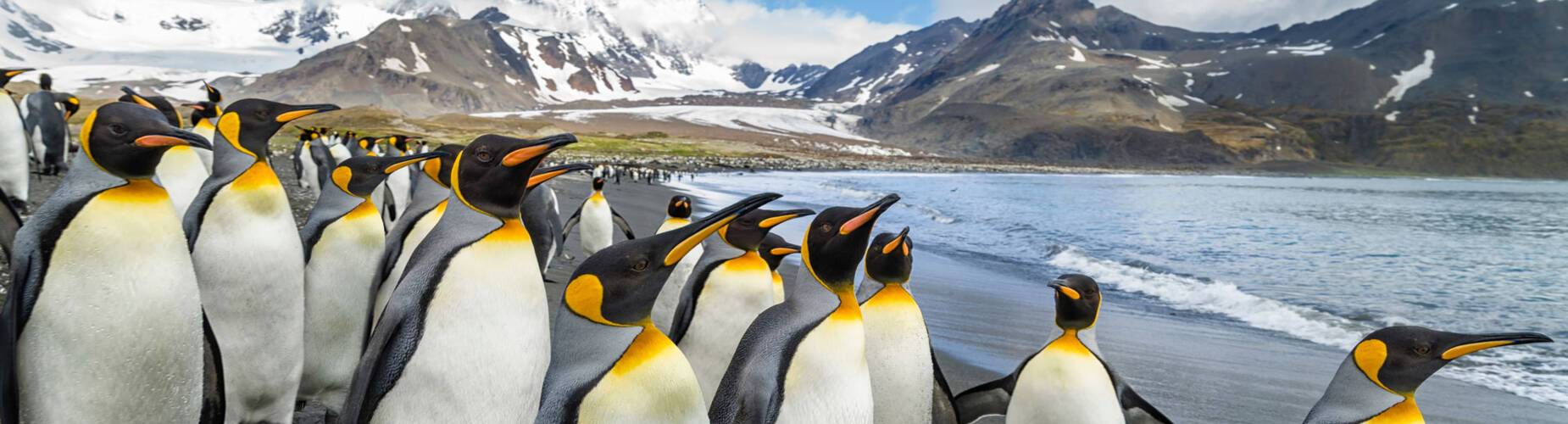 Antarctica
