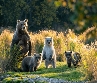 Alaska