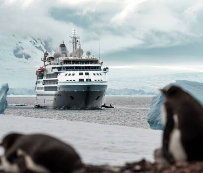 Silver Endeavour Antarctica